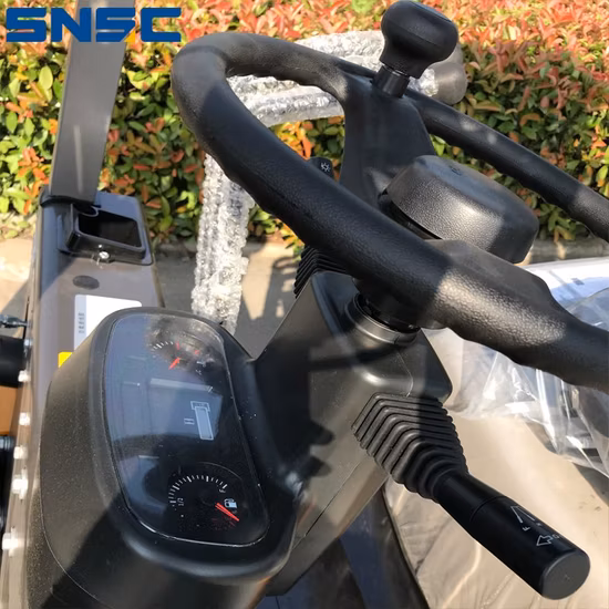 Hyster/Yale/Linde/Nissan/Tcm 2,5 Ton 2,5 T 2500kg Almofada contrabalançada Pneu Gasolina e GLP Empilhadeiras de Combustível Duplo Toyota CE ISO 1.5